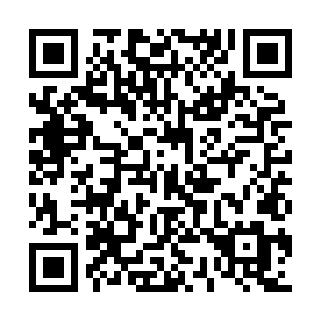 QR code for plate 431 XLM