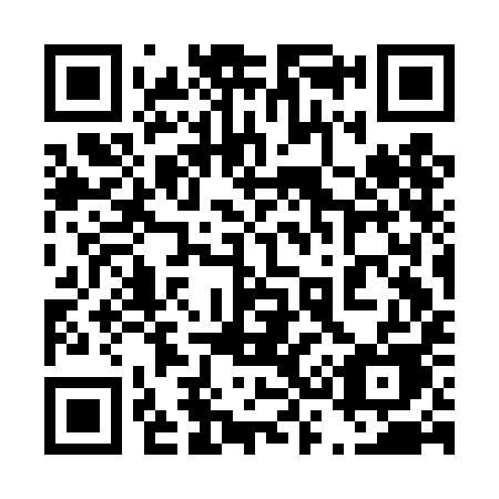 QR code for 433DIE