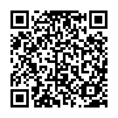 QR code for plate 438 1IM