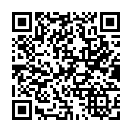 QR code for plate 438 WRW