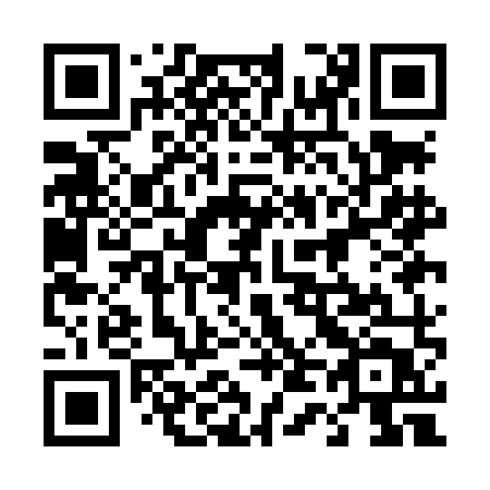 QR code for 441LMT