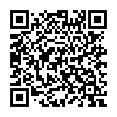 QR code for plate 445 NAN