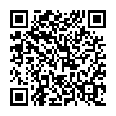 QR code for 446 UDF