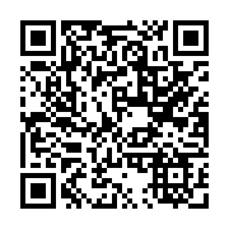 QR code for 450 LVO