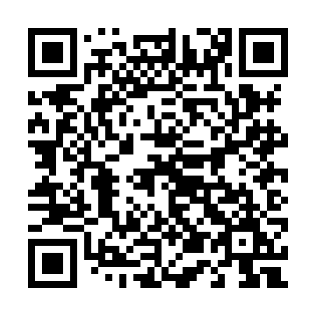 QR code for plate 450 HJM