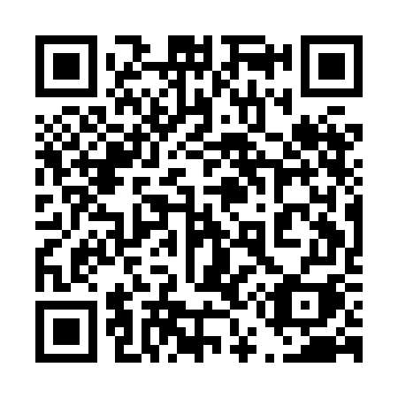 QR code for 451 HGI