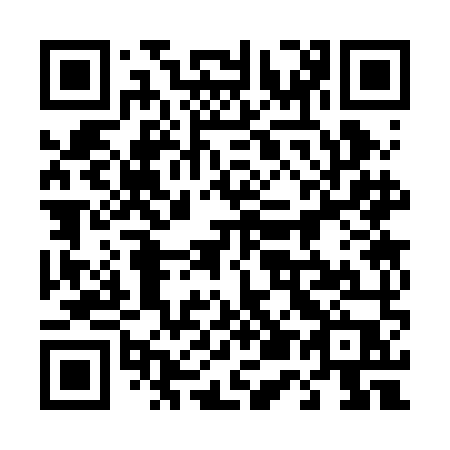 QR code for plate 453 2MP