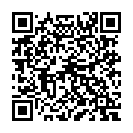 QR code for plate 453 MCI