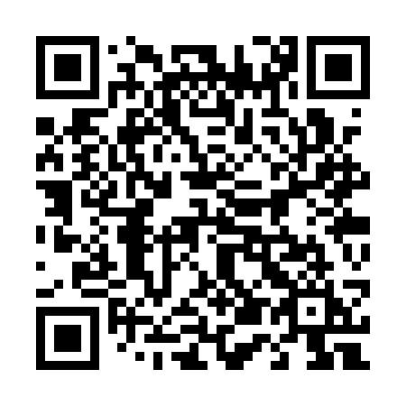 QR code for 453QSI