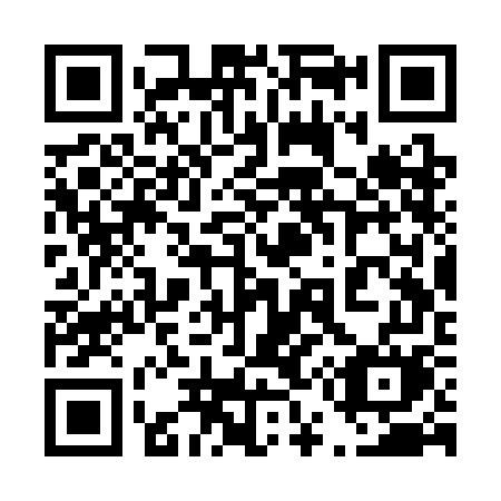 QR code for plate 453 SGM