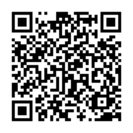 QR code for 455 MIS