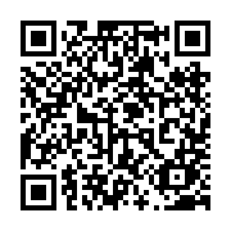 QR code for plate 456 2ML