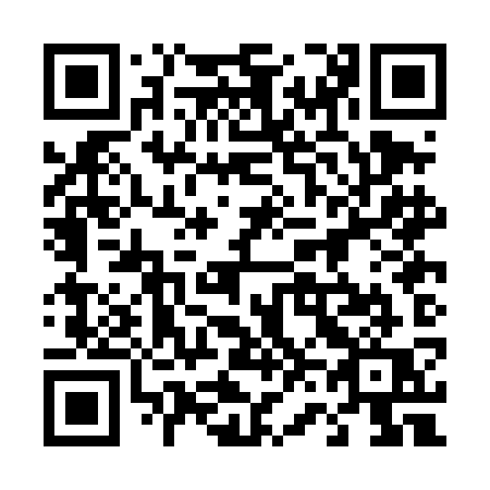 QR code for 460 DKQ