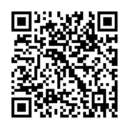 QR code for 460 IBJ