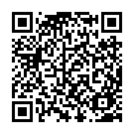 QR code for 460 RUG
