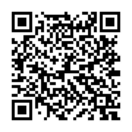 QR code for 461 XZP