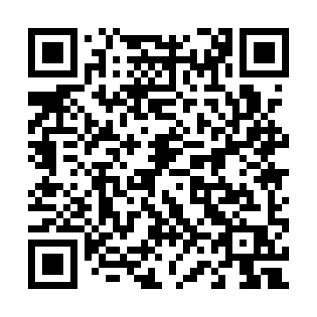 QR code for plate 461 1YP