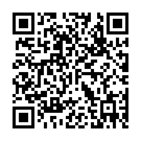 QR code for plate 461 AOA