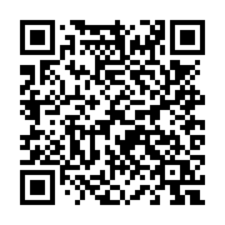 QR code for 462NZQ