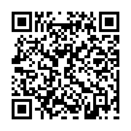 QR code for 463 7PM