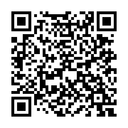 QR code for 463 DBM