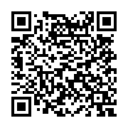 QR code for 463 LUQ