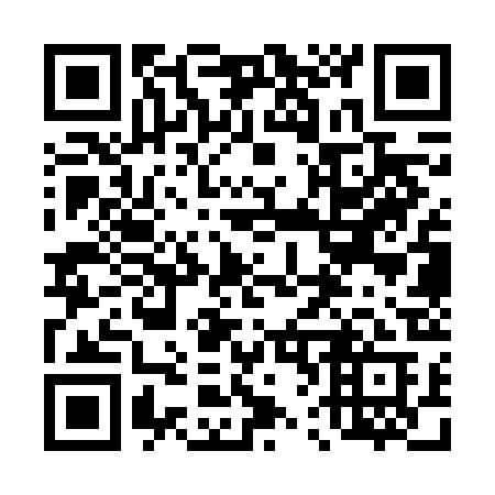 QR code for 463 VBA
