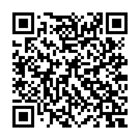 QR code for 463 ZFG