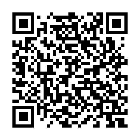 QR code for plate 463 CUS