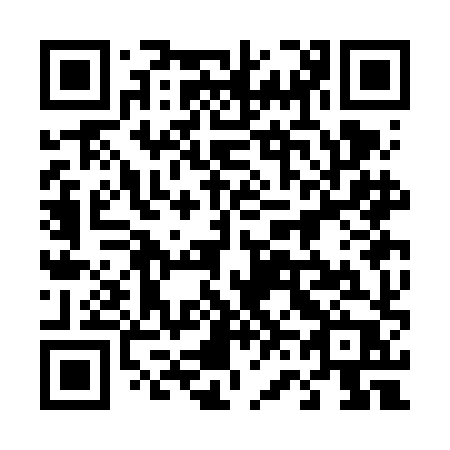 QR code for 463FHP