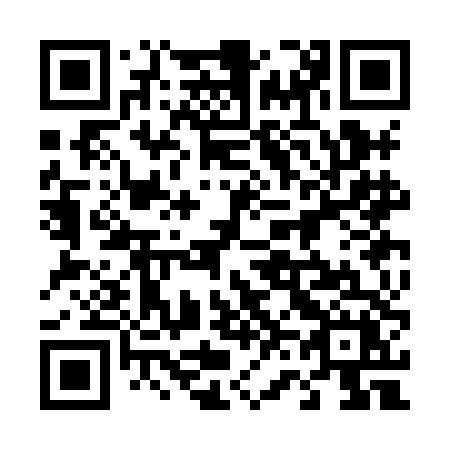QR code for plate 463 HDX
