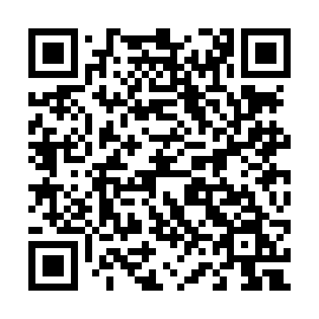QR code for plate 463 LBN
