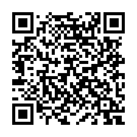 QR code for plate 463 MYA