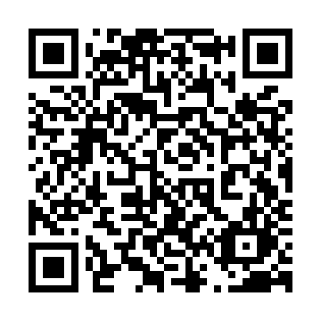 QR code for plate 463 MZL