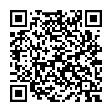 QR code for 463QYB
