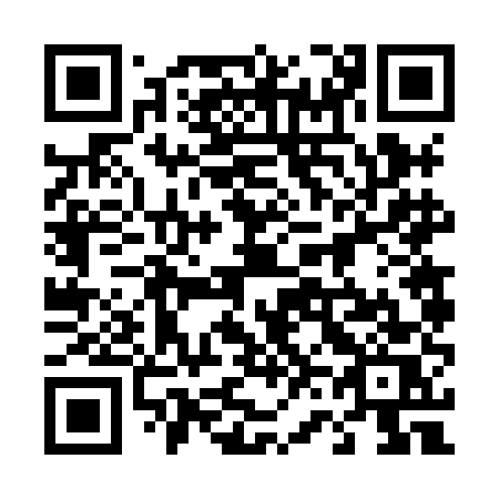 QR code for plate 466 8ES