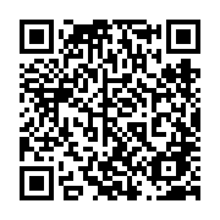 QR code for plate 466 VLE