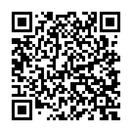 QR code for 4741LG