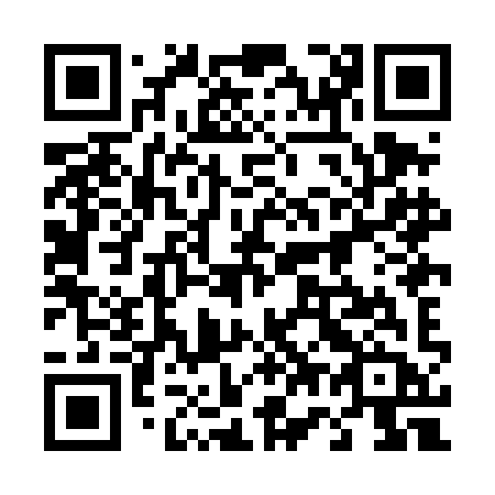 QR code for plate 478 DIB