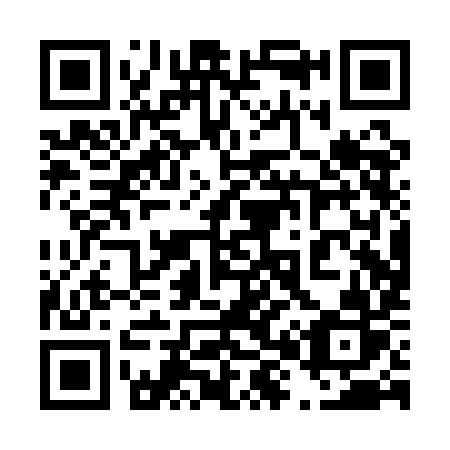 QR code for 480 QIR