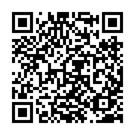 QR code for plate 480 BHS