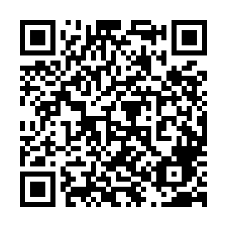 QR code for plate 480 MLF