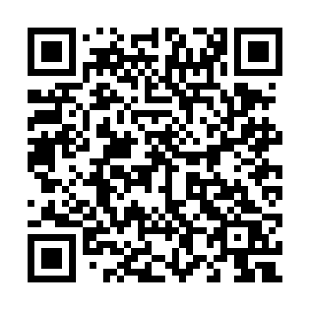 QR code for plate 482 DBS