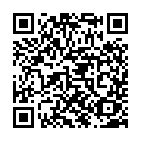 QR code for 4838TX