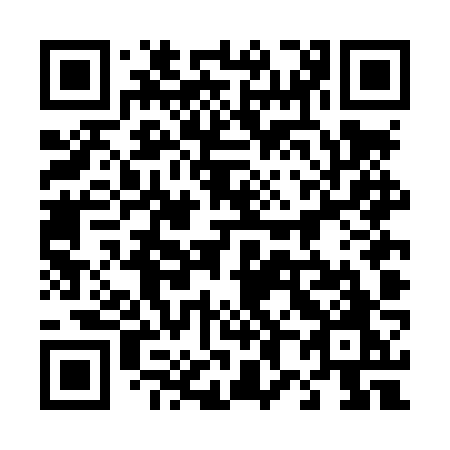 QR code for plate 484 LZO