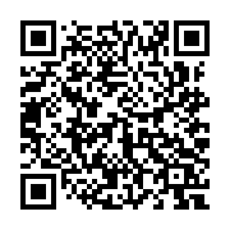 QR code for 486 IDS