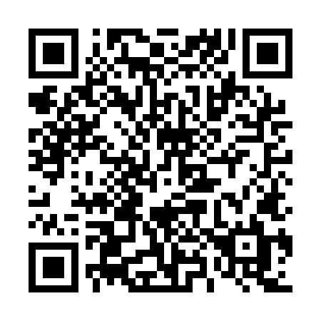 QR code for plate 489 ALL