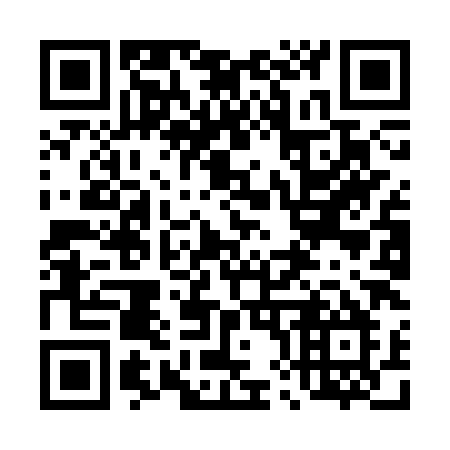 QR code for plate 489 CXM