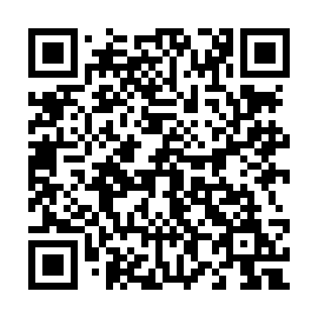 QR code for plate 489 LCM
