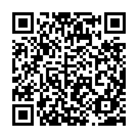 QR code for 490 ZIL